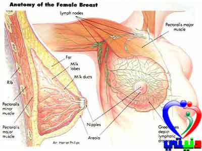 سرطان الثدي 