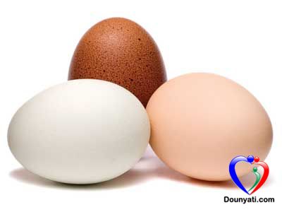الفرق بين البيض البني و الابيض