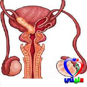 مرض الزلال انواعه و علاجه