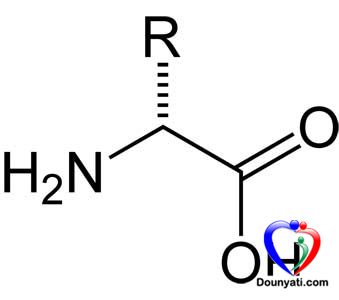 تعرف على الحمض الاميني ارجينين Arginine