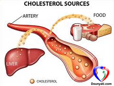 cholesterol