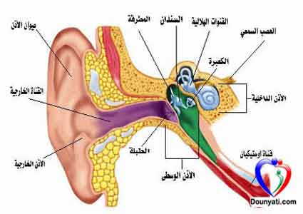 التهاب الاذن الوسطى عند الاطفال