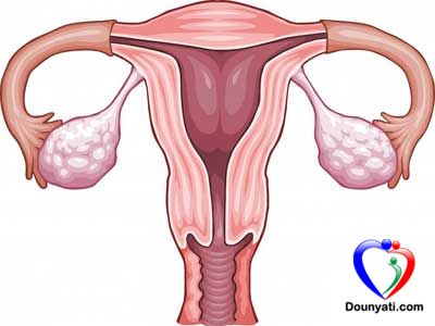 علاجات تحفيز الاباضة